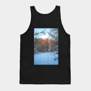 Winter landscape - frosty trees in snowy forest in the sunny morning. Tranquil winter nature in sunlight Tank Top